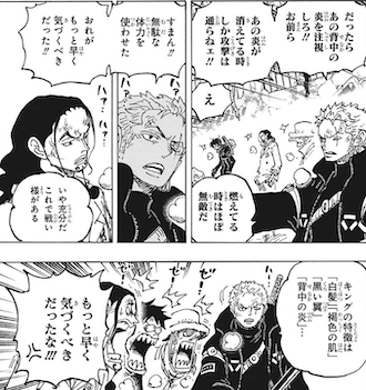 ONE PIECE 1077話 ”早く気づくべきだった” あらすじ、感想 | にせ ...